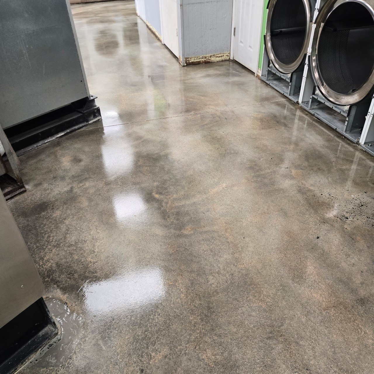 Polished concrete laundromat floor by dryers